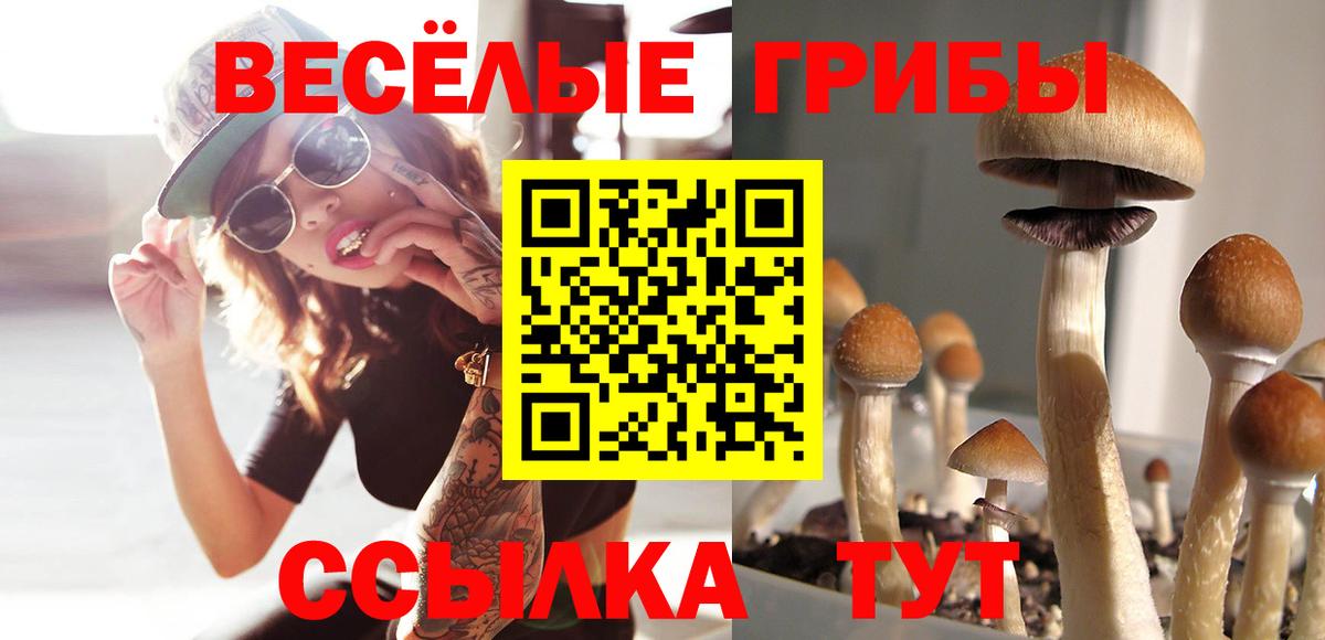 Псилоцибиновые грибы прущие грибы Кубинка