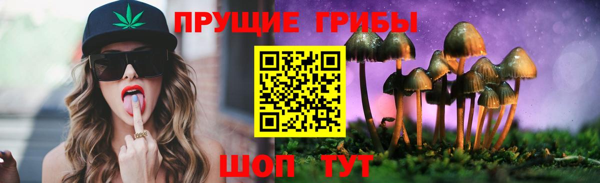 Псилоцибиновые грибы GOLDEN TEACHER  Вход с VPN  Кубинка 